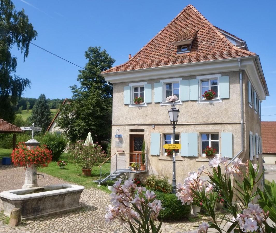 Ferienhaus Zur Alten Dame Badenweiler Luaran gambar